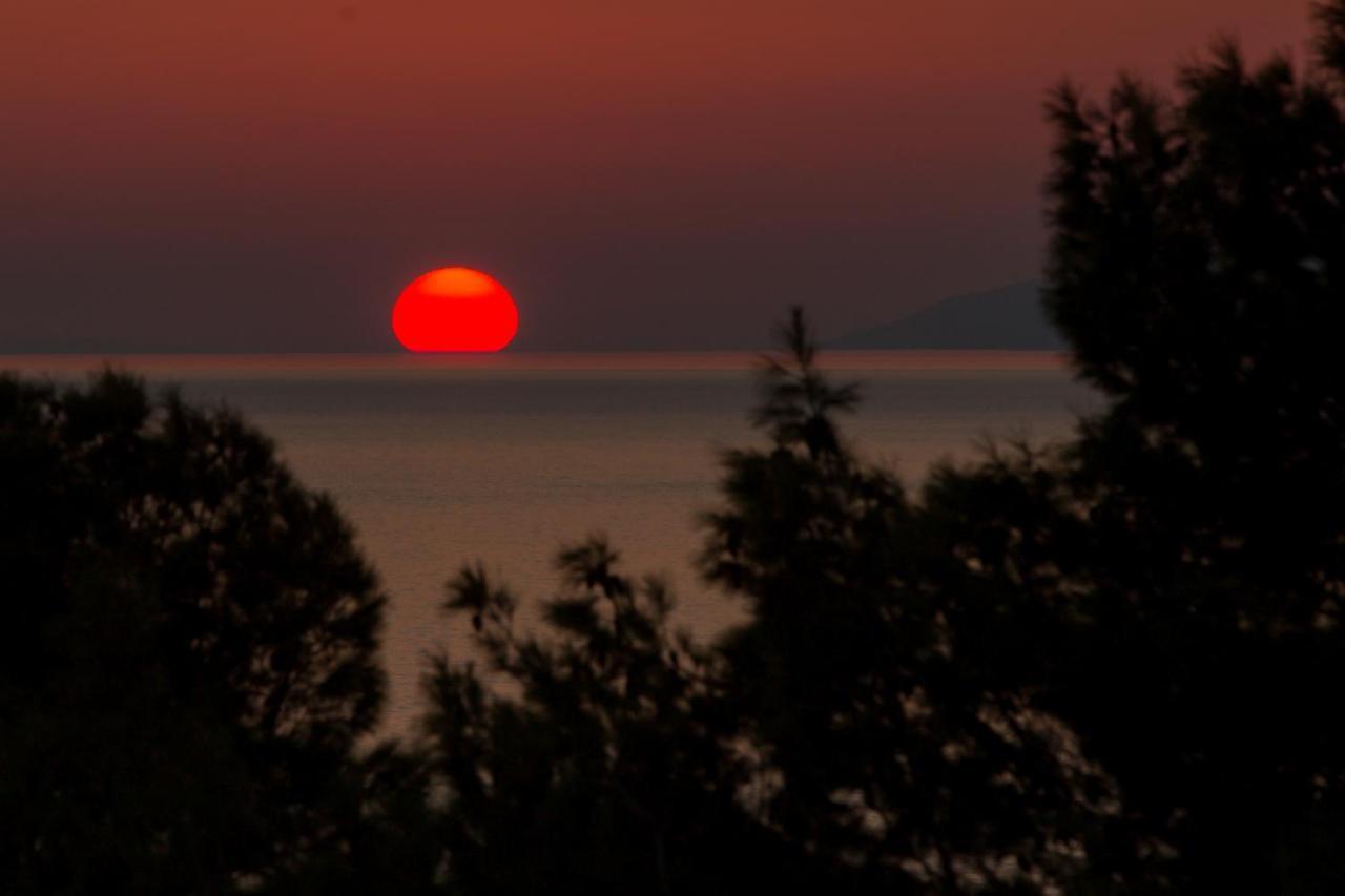 Aparthotel Pecic Gradac  Exterior photo